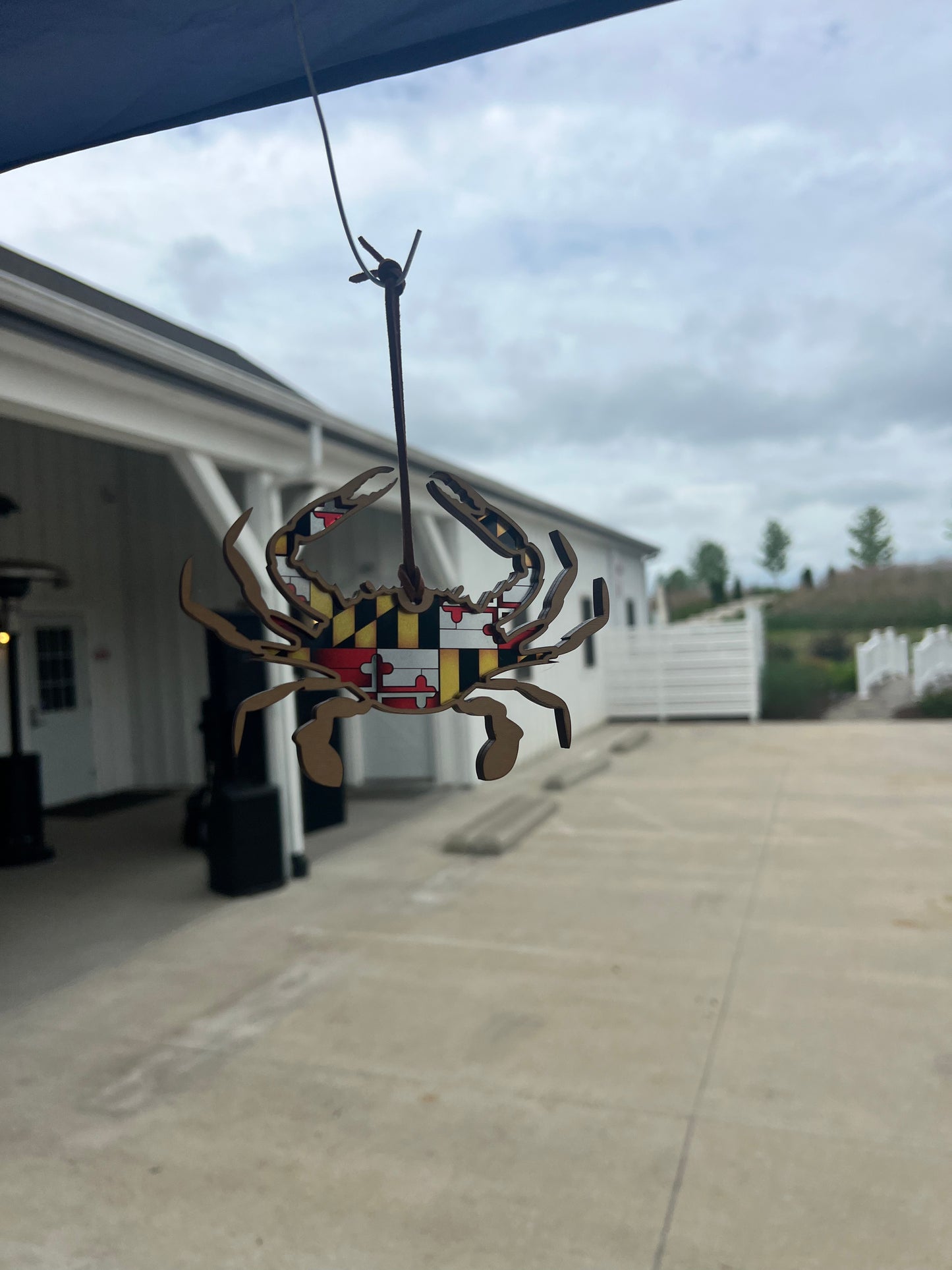 Suncatcher - Maryland Crab